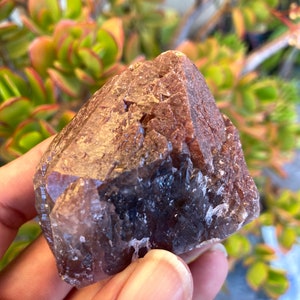 Große Auralitspitze aus Brasilien. Seltene Rote Hämatit Kappe voller Schallplattenhalter. Mehrfachender Spitze, Amethyst, Rauchquarz, Citrin.