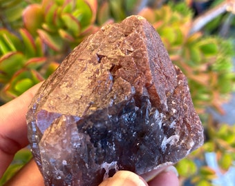 Large Auralite Point from Brazil. Rare Red Hematite Cap full of record keepers. Multi Terminated Tip, Amethyst, Smokey Quartz, Citrine.