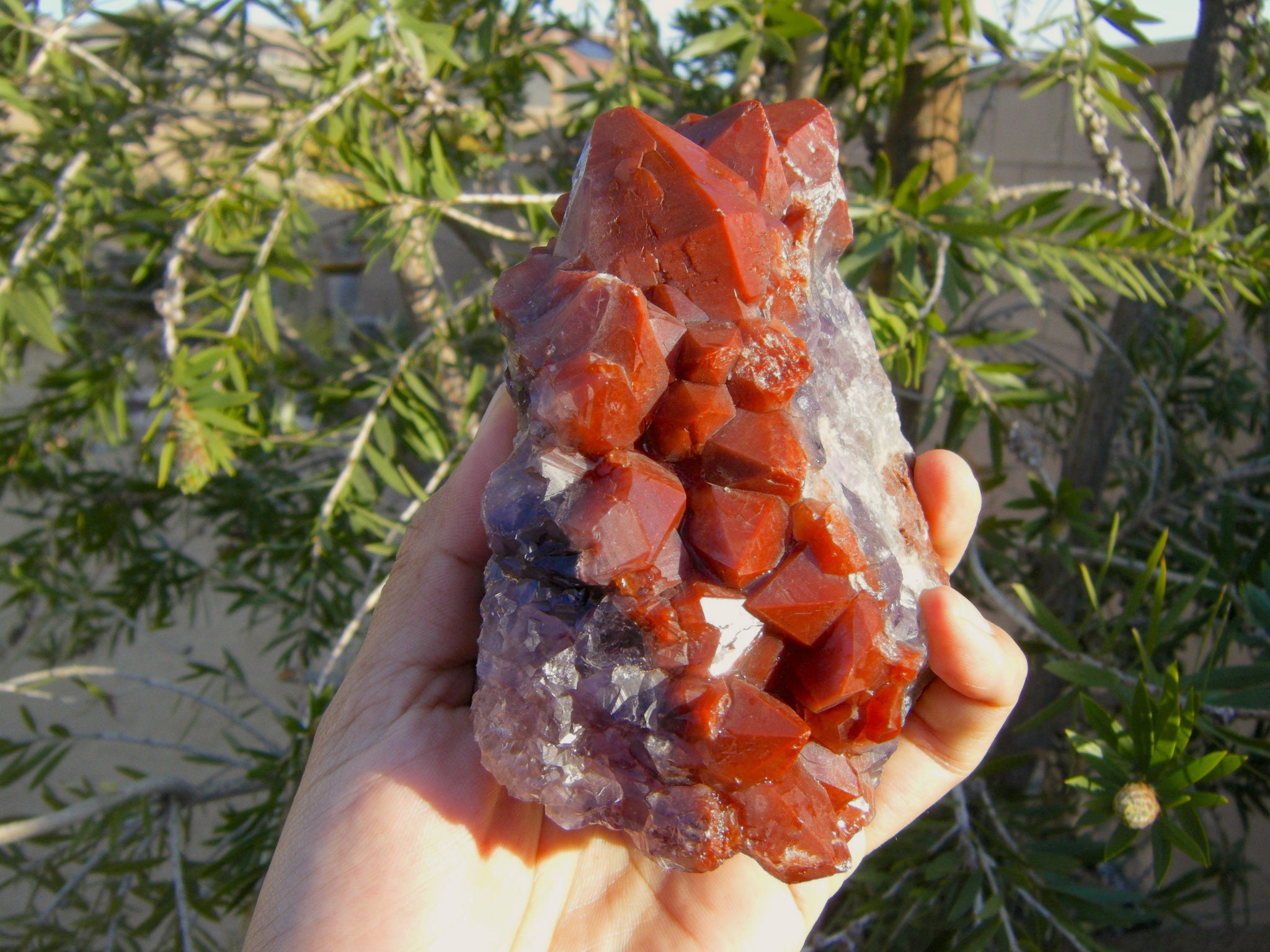 Vibrant Red Hematite Amethyst Cluster. world class Brazilian Auralite 23 from the original Find. AAA Quality Worlds Rarest Amethyst.