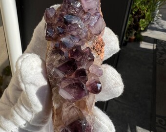 Rare Brandenberg Amethyst Quartz Crystal Cluster. Old Stock Brandberg Namibia Amethyst. Exotic Rare Cabinet Specimen for Collectors.