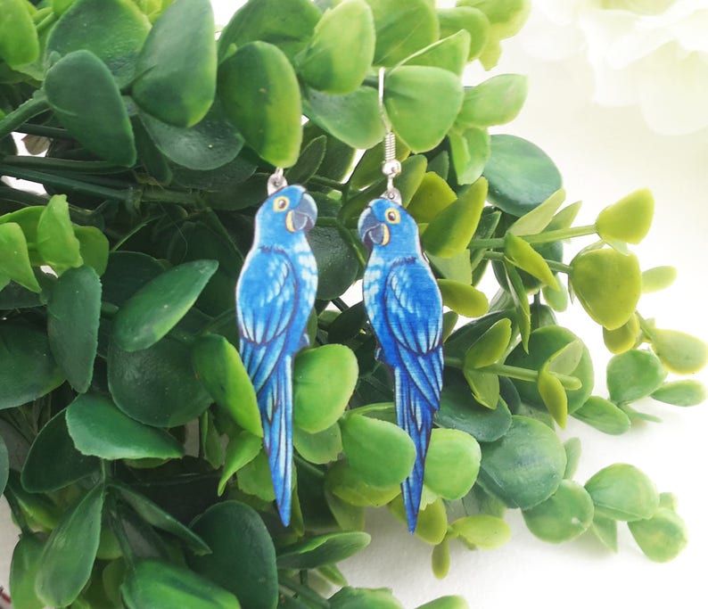 Parrot Indigo Hyacinth Macaw Blue Bird Lover Gift Wildlife Etsy