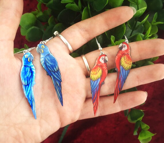 Macaw earrings store