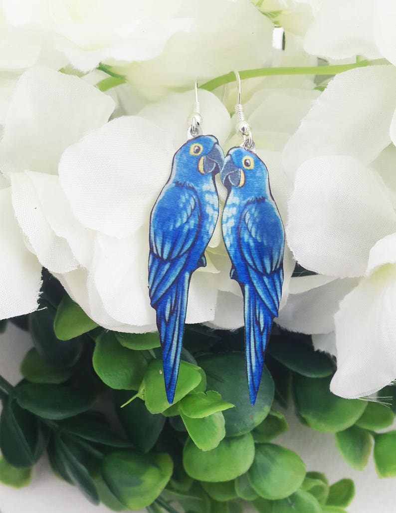 Parrot Indigo Hyacinth Macaw Blue Bird Lover Gift Wildlife Etsy