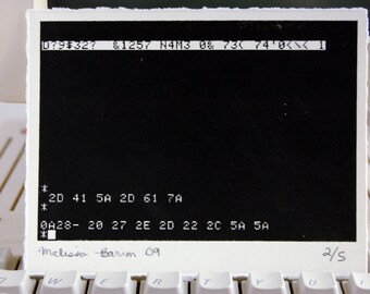 glitch screenprint - the leet oregon trail - 73H 0r3g0n 7r41L glitch 01 - edition of 5 - 5 inches x 4 inches