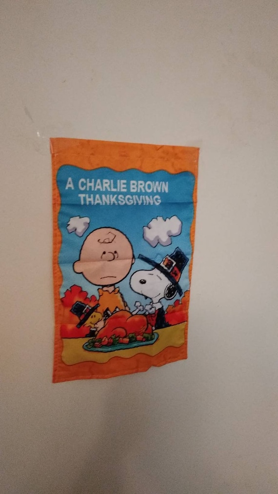 Live broadcast macy thanksgiving day parade