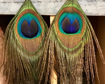 Handmade Peacock Feather Earrings