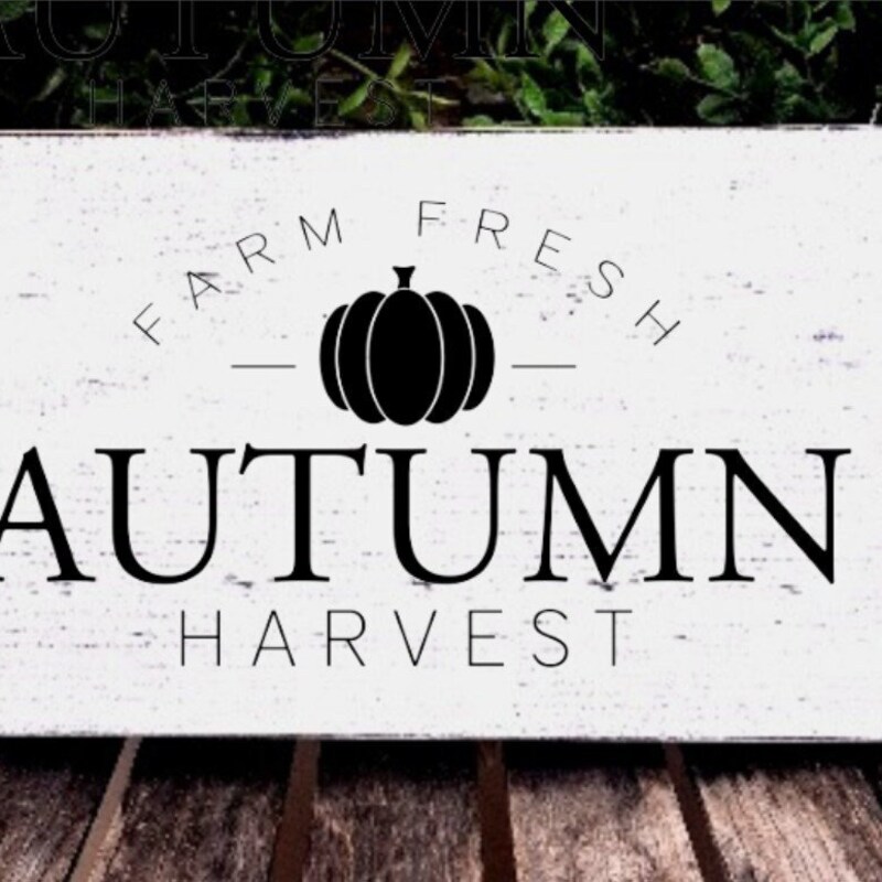 Fall Signs - Etsy