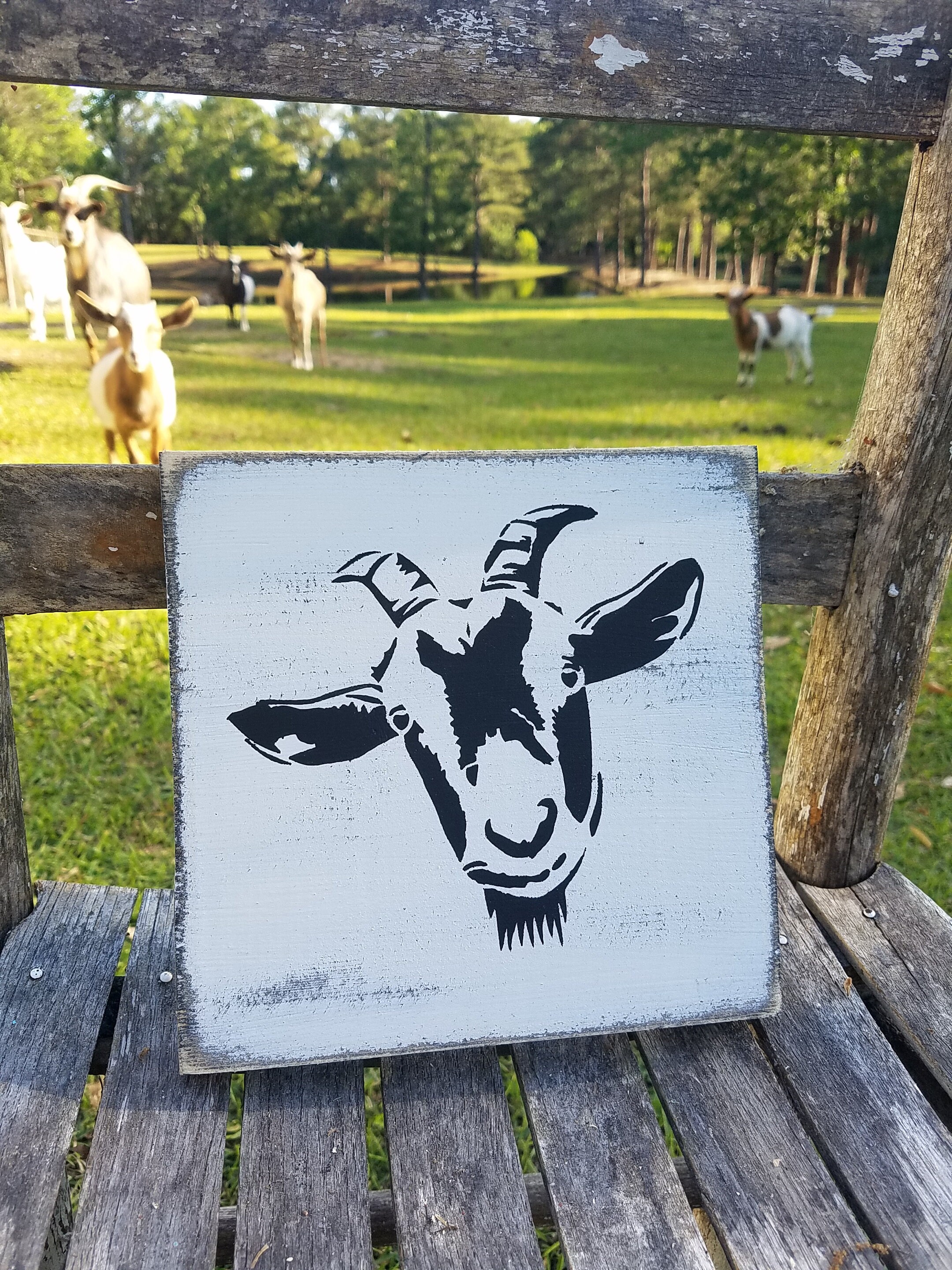 Rustic Animal Sign Rustic Goat Farmhouse Wood Sign, Distressed Finish (7.25