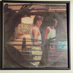 Glittered Record Album - Shaun Cassidy - Room Service