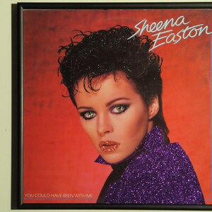 Glittered Record Album - Sheena Easton - You Could Have Been With Me
