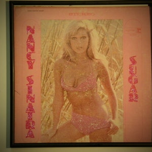 Brillava Album Record - Nancy Sinatra - zucchero
