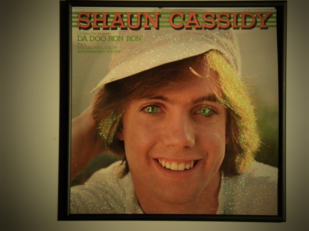 Glittered Record Album - Shaun Cassidy - Da Doo Ron Ron - Etsy
