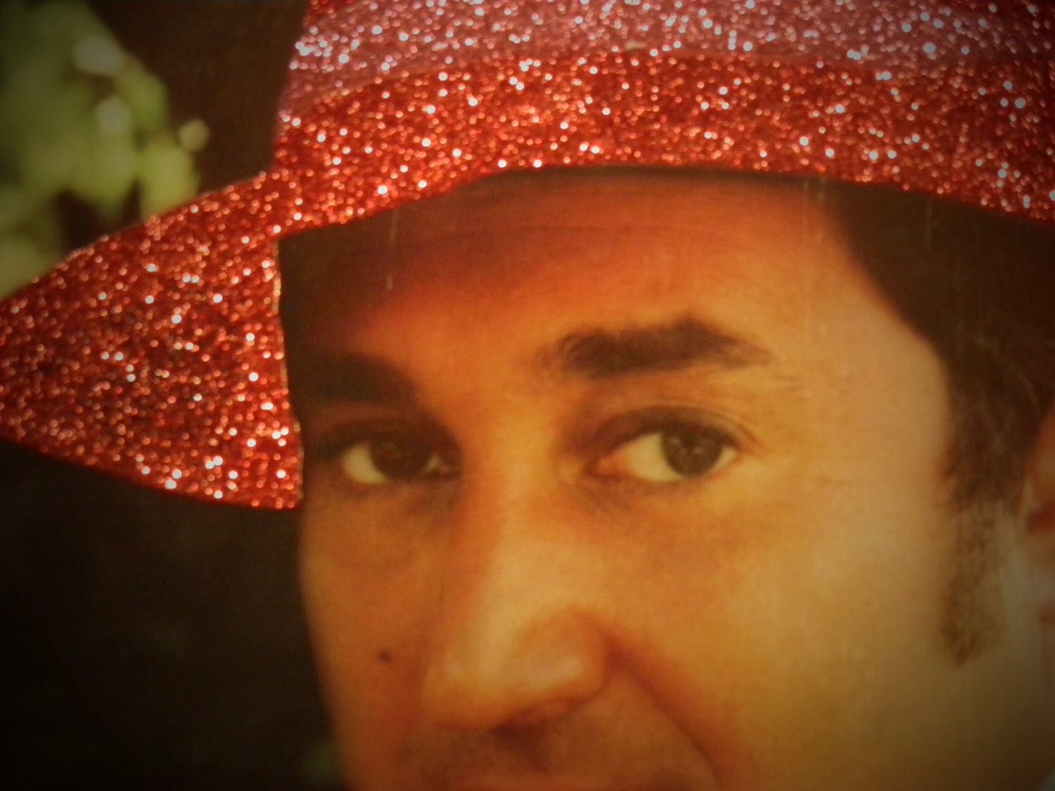 Glittered Record Album Neil Sedaka Sedaka&rsquo;s Back - Etsy