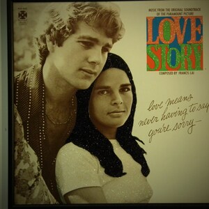 Glittered Record Album - Love Story