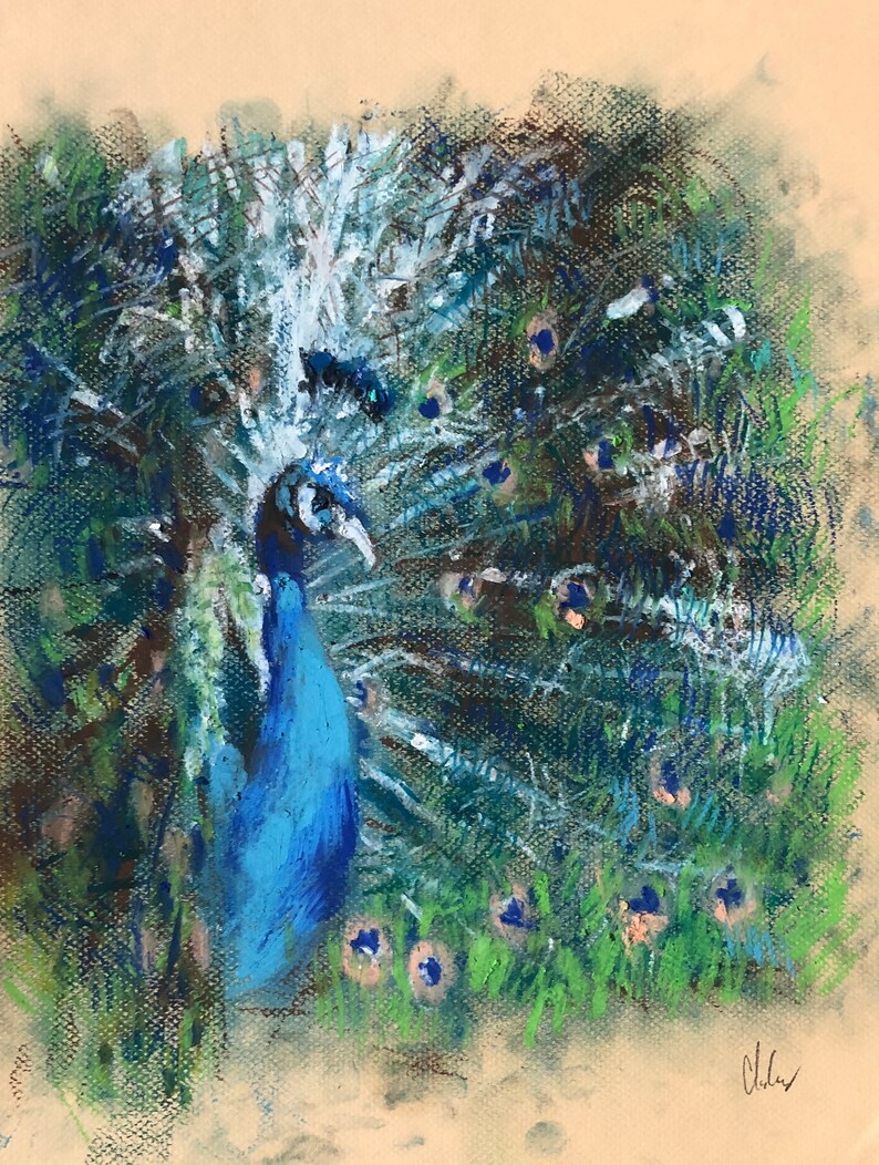 Peacock Oil Pastel Drawing No. 1 image 1