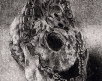 Macabre Creepy Skull No. 10, Hand Pulled Intaglio Print