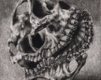 Macabre Creepy Skull No. 13, Hand Pulled Intaglio Print