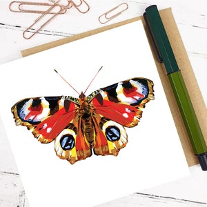 VENTE - Carte de voeux PAPILLON PAON - Carte vierge - Faune écossaise - Faune britannique - Cartes faune - Cartes nature - Cartes jardin