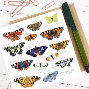 Carte de voeux PAPILLONS DE BRETAGNE - Carte vierge - Faune écossaise - Faune britannique - Cartes faune - Cartes nature - Cartes jardin