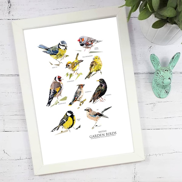 A3 British Garden Birds Print - Nature Lover - Wildlife - British -Animals- Gift - Illustration- Art - Garden Gifts - Songbird