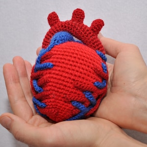 Crochet PATTERN Anatomical Heart - crocheted heart - E_N_G_L_I_S_H PDF pattern - amigurumi heart
