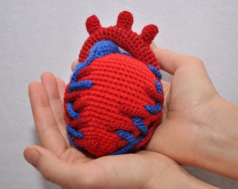 Crochet PATTERN Anatomical Heart - crocheted heart - E_N_G_L_I_S_H PDF pattern - amigurumi heart