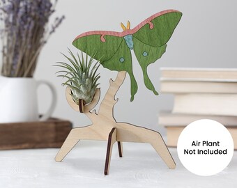 Luna moth air plant stand - whimsigoth air plant holder - gift for plant lover - laser cut wood