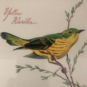 Yellow Warbler Tile 6&quot; x 6&quot; Ceramic Tile | Gift for Bird Lover | Hand Decorated by Screencraft