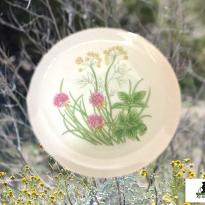 Shafford Porcelain |  Herbs & Spices Porcelain Side Plates | Bread Plates or Salad Dishes |  7.5 Inches  | Vintage Set of 4 Tableware Plates