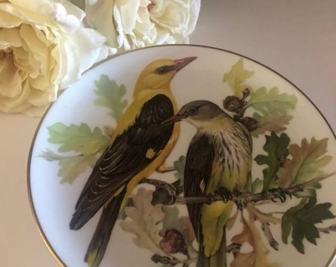 Baltimore Orioles BIrd Porcelain Wall Plate World Wildlife Decor