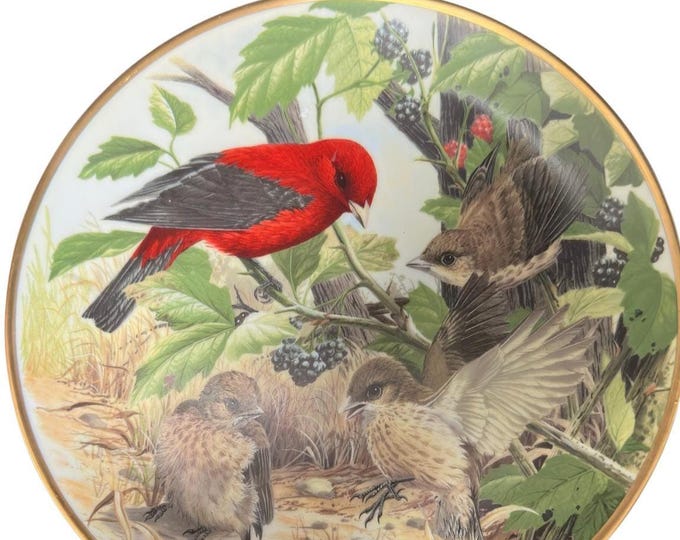 Scarlet Tanager Wall Hanging Ceramic Plate for Bird Watcher