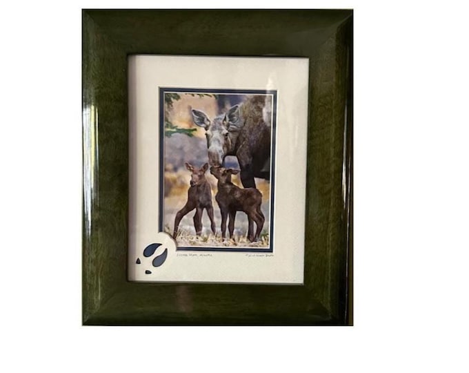 Alaska Moose Photo Print: Rustic Cabin Wall Art, 10x13 Canvas