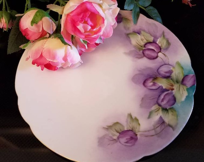 Classic Bavarian Hand Painted Porcelain Plate | German Plate