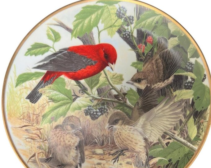 Scarlet Tanager Wall Hanging Ceramic Plate for Bird Watcher