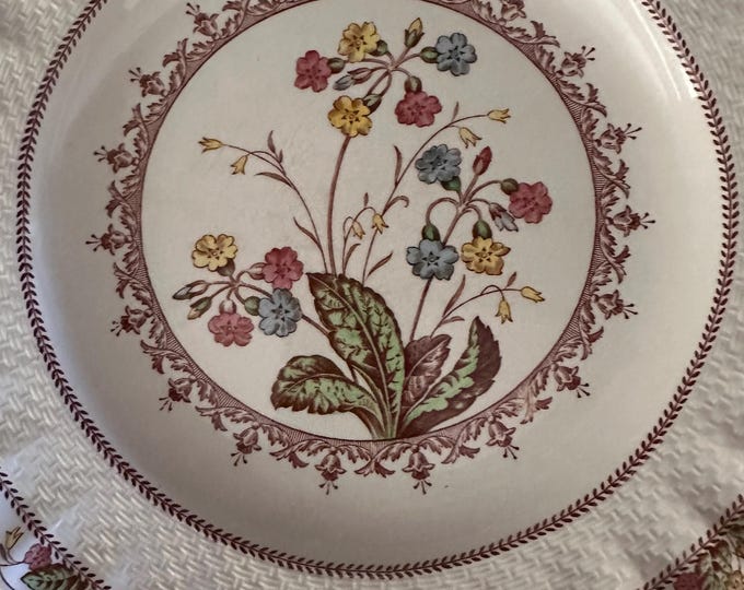 Copeland Spode Cowslip Dinnerware | Earthenware Vintage 10.5" Dinner Plate Multicolor Flowers Chelsea Wicker Shape
