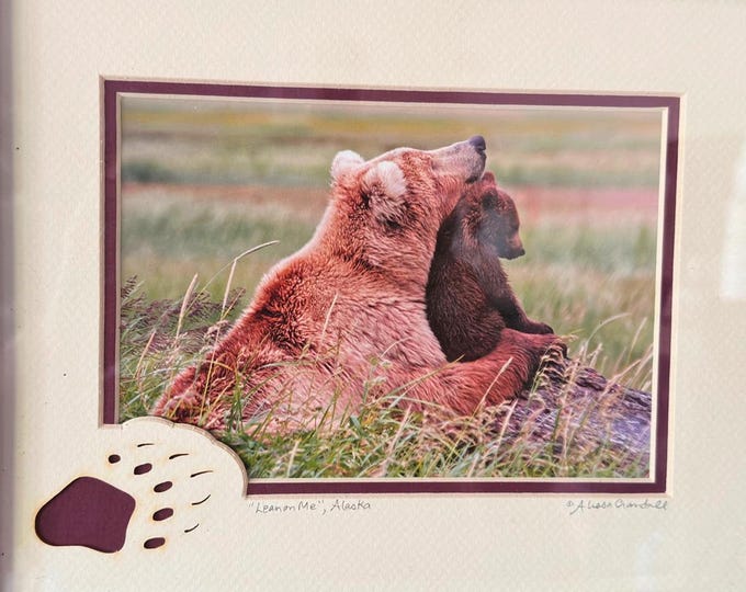 Wildlife Photography Brown Bear Cub Photo: "Lean on Me" Alaskan 10x14 Framed Print