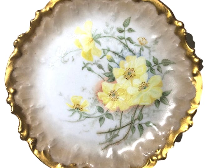 Antique Limoges China Plate: LE Coiffe Hand-Painted Floral Wall Art