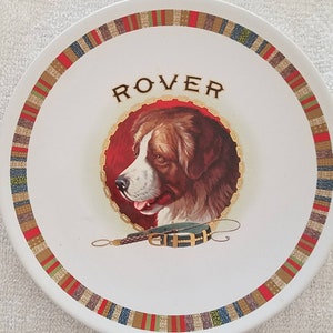 Puede incluir: Un plato de cerámica blanco con un borde colorido. El centro del plato presenta un perro marrón y blanco con un collar verde y la palabra "ROVER" en letras doradas.