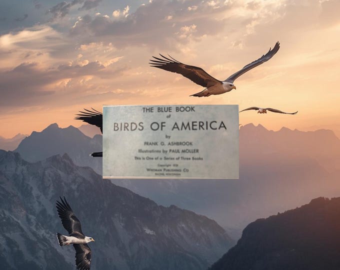 Blue Book Birds of America by Frank G. Ashbrook
