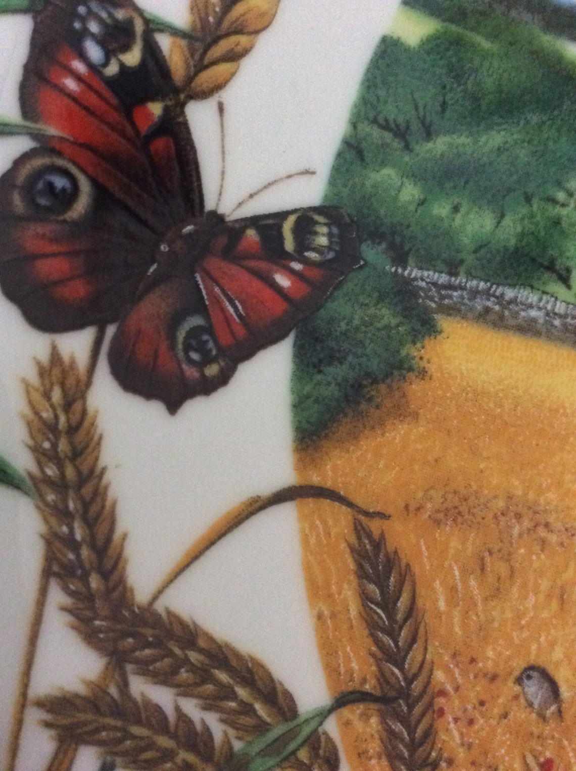 Vintage Wall Plate Wedgwood China Wall Hanging Plate Etsy