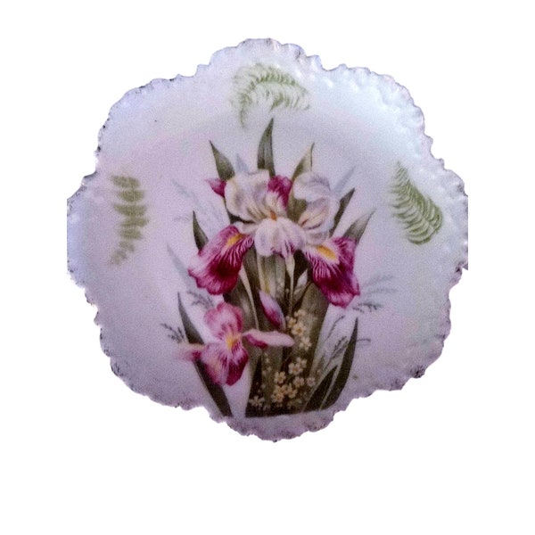 Hand Painted Rosenthal China Scalloped Plate | Bavaria Monbijou