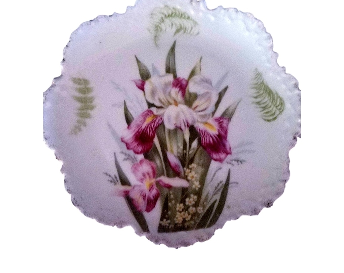 Hand Painted Rosenthal China Scalloped Plate | Bavaria Monbijou