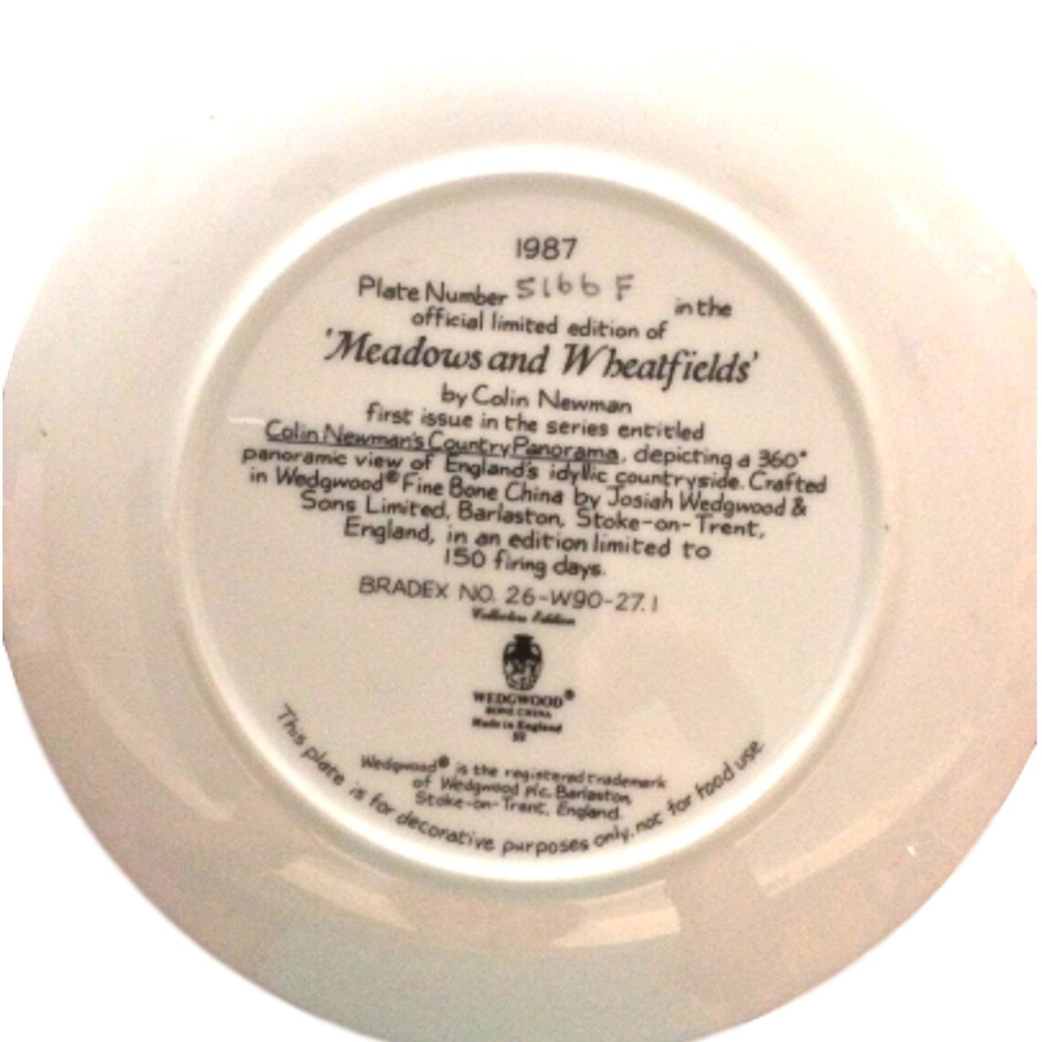 Vintage Wall Plate Wedgwood China Wall Hanging Plate Etsy