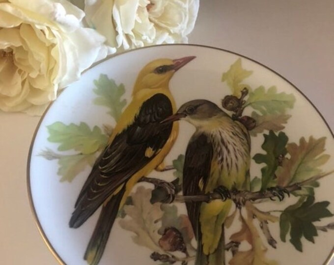 Vintage Orioles Porcelain Wall Plate: Bird Lover Gift