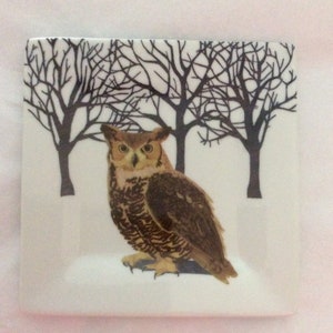 Bird Lover Gifts | Salad Plates | Owls