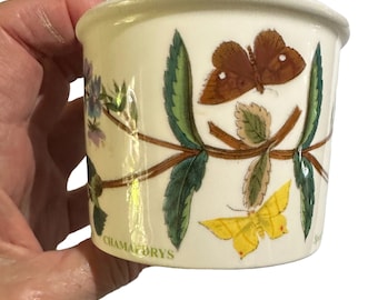Hand-painted Portmeirion Botanic Garden Small Coffee Cup - Speedwell
