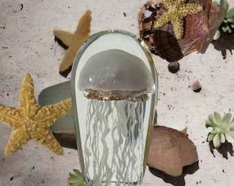 Translucent Jellyfish Glass Paperweight | Oceancore