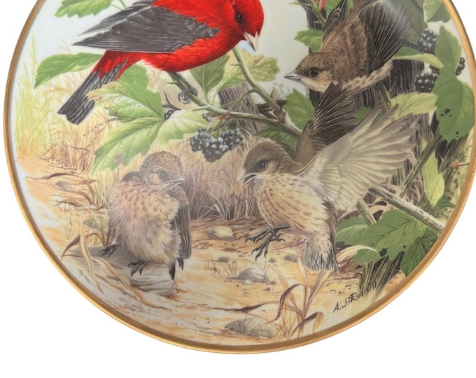 Scarlet Tanager Wall Hanging Ceramic Plate for Bird Watching