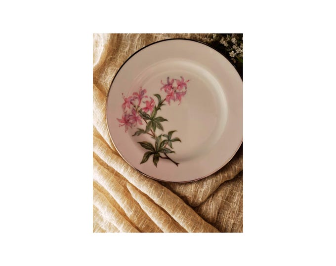 2 Vintage Fairfax China Salad Plates: Spring Bouquet Floral