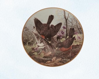 Assiette de collection A. J. Rudisill, scène de la nature, rouge-gorge, chasse pour se nourrir, oiseau vintage en porcelaine